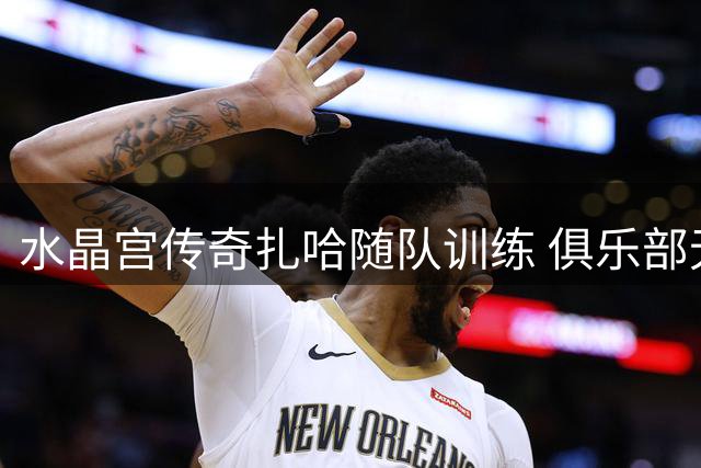 水晶宫传奇扎哈随队训练 俱乐部无意重新签约